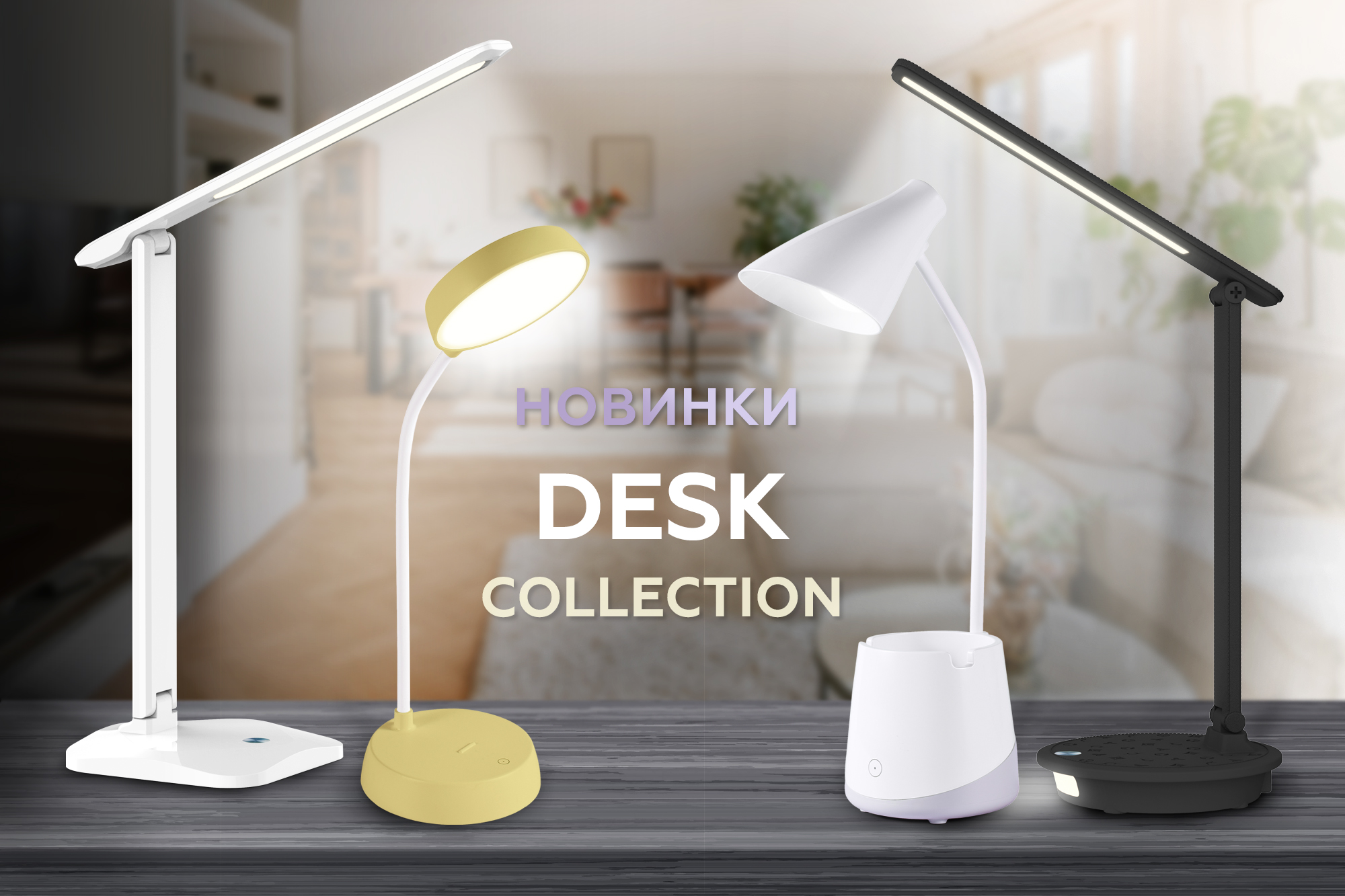 Новинки декабря DESK