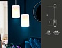 TR3680 GD/CL/FR золото/прозрачный/белый матовый E14 max 40W D110*950
