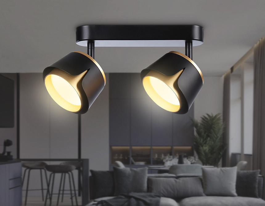 TN71231/2 BK/GD черный/золото GX53/2 220*100*147