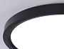 FZ1910 BK черный IP54 44W 3000K-6500K CCT-переключатель D600*25 (Без ПДУ)