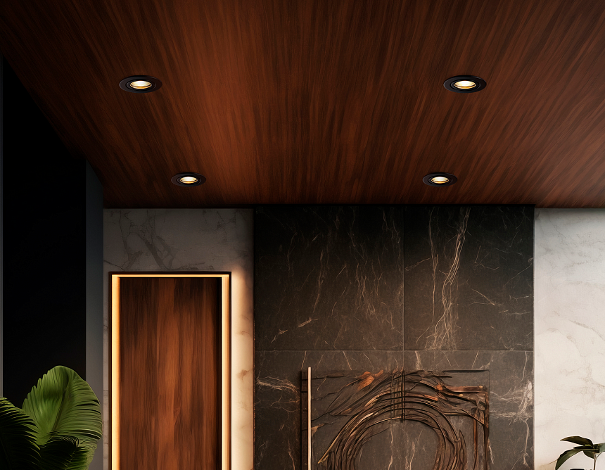 TN1151 BK черный IP44 GU5.3 D81*28