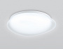 FZ1601 FR матовый IP20 40W 5000K 410*100 (Без ПДУ)