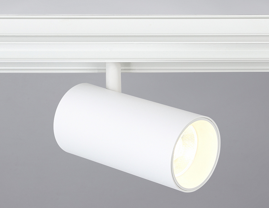 GL3838 WH белый IP20 20W 4200K 48V 24° D67*138