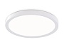 FZ1903 WH белый IP54 20W 3000K-6500K CCT-переключатель D300*25 (Без ПДУ)
