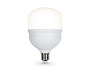 1003004 LED T100 30W IC E27-E40 4000K 175-265V
