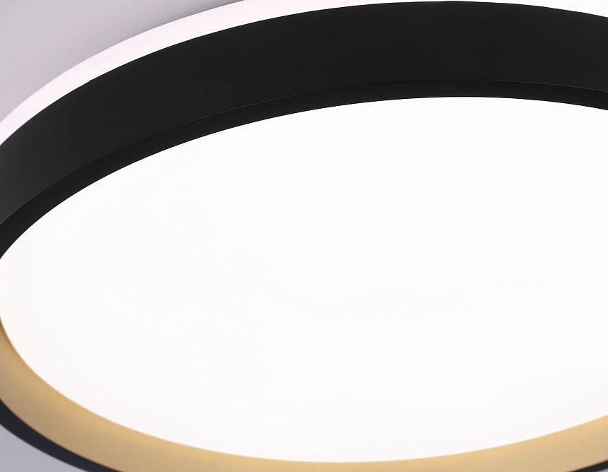 FZ610 BK/GD черный/золото IP20 66W 3000K-6500K+RGB D490*85 (ПДУ ИК)