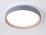 FZ1320 GR/LWD серый/светлое дерево IP20 41W 3000-6400K D390*70 (ПДУ ИК)