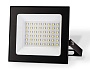 ST8019 BK черный IP65 LED 6500K 50W 134*116*28