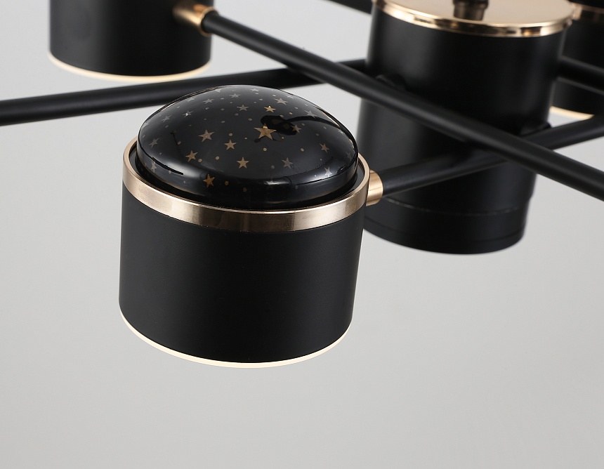 FL51629/9+4 BK/FGD черный/золото 132W 3000-6000K D850*370 (без ПДУ)