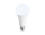 652506 LED A65 25W IC E27 6400K 175-265V