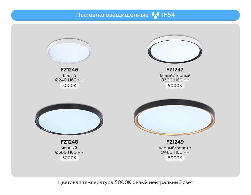 FZ1249 BK/GD черный/золото IP54 45W 5000K D480*60 (Без ПДУ)