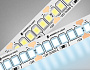 GS1503 2835 240Led/ 19.2W m/ 12V IP20 6500K/ 5000*10*1.2mm (2 конт.)