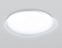 FZ1605 FR матовый IP20 60W 5000K 510*100 (Без ПДУ)