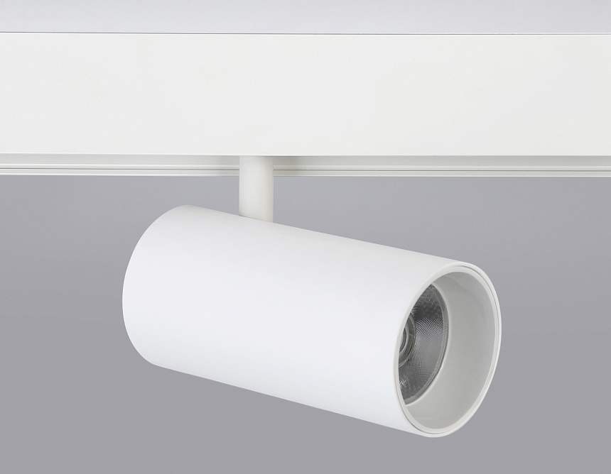 GL3838 WH белый IP20 20W 4200K 48V 24° D67*138