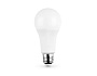 652506 LED A65 25W IC E27 6400K 175-265V