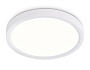 FZ1901 WH белый IP54 13W 3000K-6500K CCT-переключатель D230*25 (Без ПДУ)