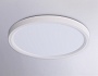 FZ1903 WH белый IP54 20W 3000K-6500K CCT-переключатель D300*25 (Без ПДУ)