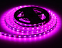 GS4402 5050 60Led /10W m/ 24V IP20 RGBW+4500K/ 5000*10*1.87mm (5 конт.)
