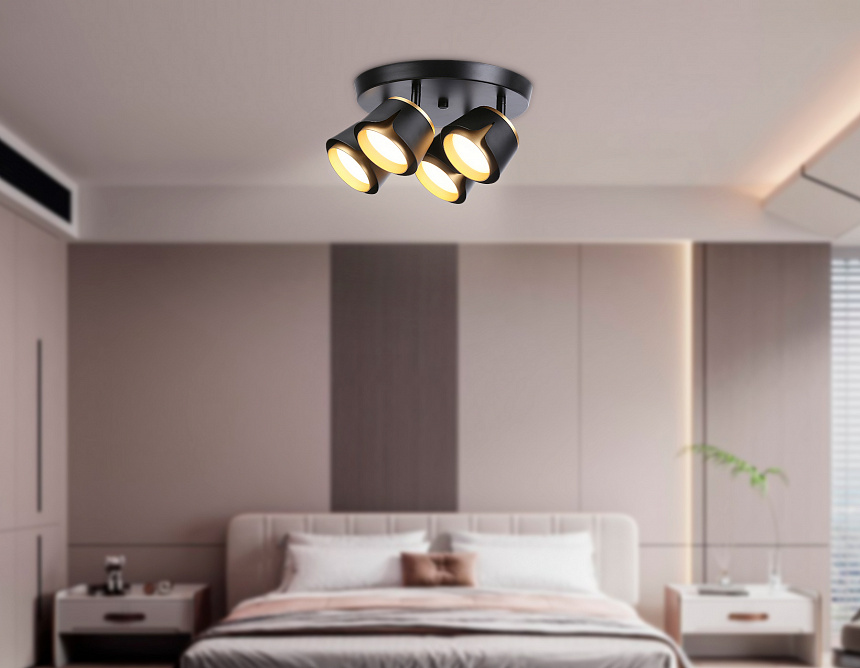 TN71243/4 BK/GD черный/золото GX53/4 D250*147