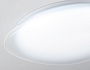FZ1605 FR матовый IP20 60W 5000K 510*100 (Без ПДУ)