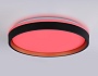 FZ610 BK/GD черный/золото IP20 66W 3000K-6500K+RGB D490*85 (ПДУ ИК)