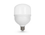 1003006 LED T100 30W IC E27-E40 6400K 175-265V