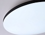 FZ2004 BK черный IP54 20W 3000K-6500K+RGB Wi-Fi Алиса/Tuya/Smart Home/Alexa D300*55 (ПДУ ИК)