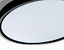 FZ3055 BK черный IP44 33W+10W 6400+6400К D370*40 (Без ПДУ)