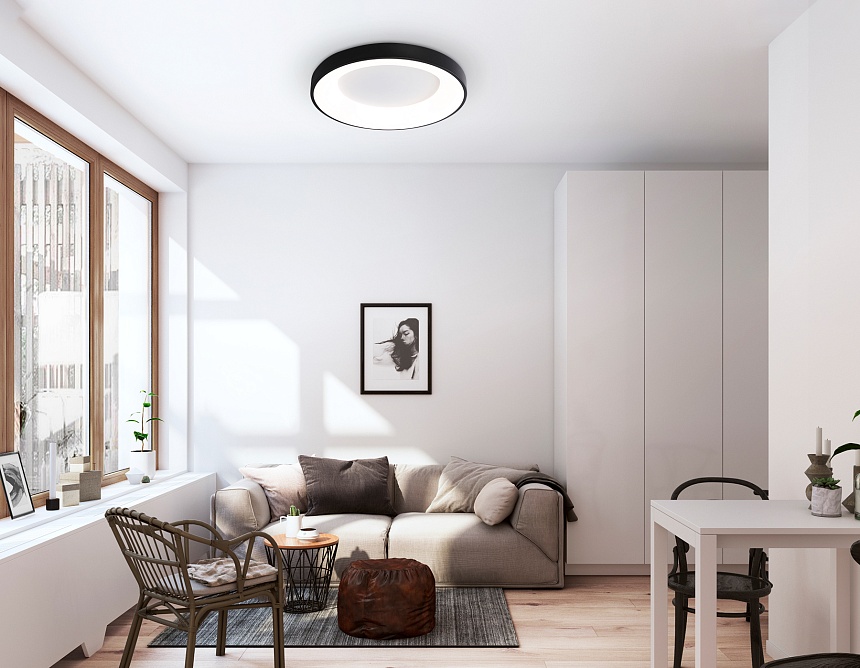 FZ1403 BK черный IP20 48W 3000K-6500K D500*50 (ПДУ ИК)