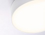 FV5531 WH белый LED 60W 3000K D500*58 (Без ПДУ)