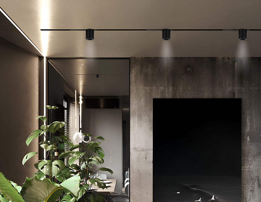 GL1242 BK черный IP20 7W 3000K-6400K 220V 24° D75*85 (Без ПДУ)