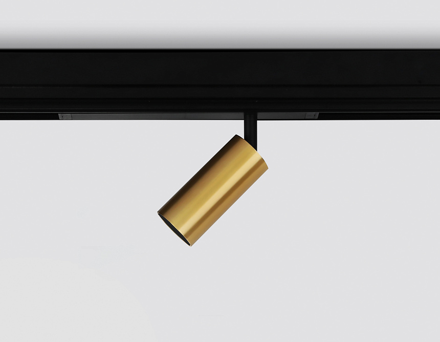 GL1213 GD золото IP20 12W 3000K-6400K 220V 36° D45*100 (Без ПДУ)