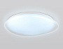 FZ1615 FR матовый IP20 60W 3000-6500K+RGB 510*100 (ПДУ ИК)