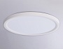 FZ1907 WH белый IP54 35W 3000K-6500K CCT-переключатель D450*25 (Без ПДУ)