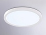 FZ1903 WH белый IP54 20W 3000K-6500K CCT-переключатель D300*25 (Без ПДУ)