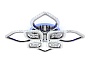 FA2835/4+4 DCH черный хром 3000K/4200K/6400K 118W 750*750*120 (ПДУ РАДИО 2.4G)