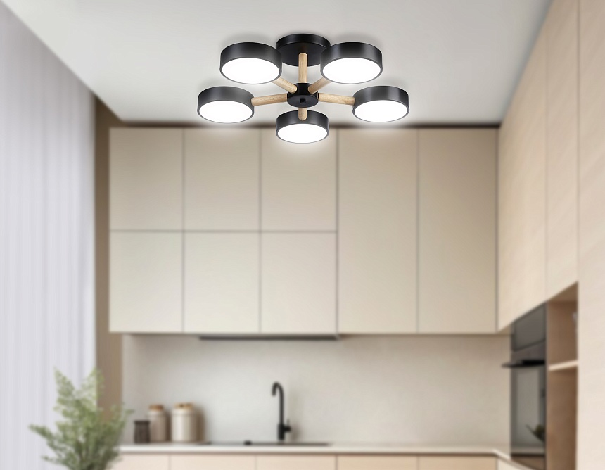 FL4828/5 BK черный 3000K-6400K 65W D580*160 (ПДУ ИК)