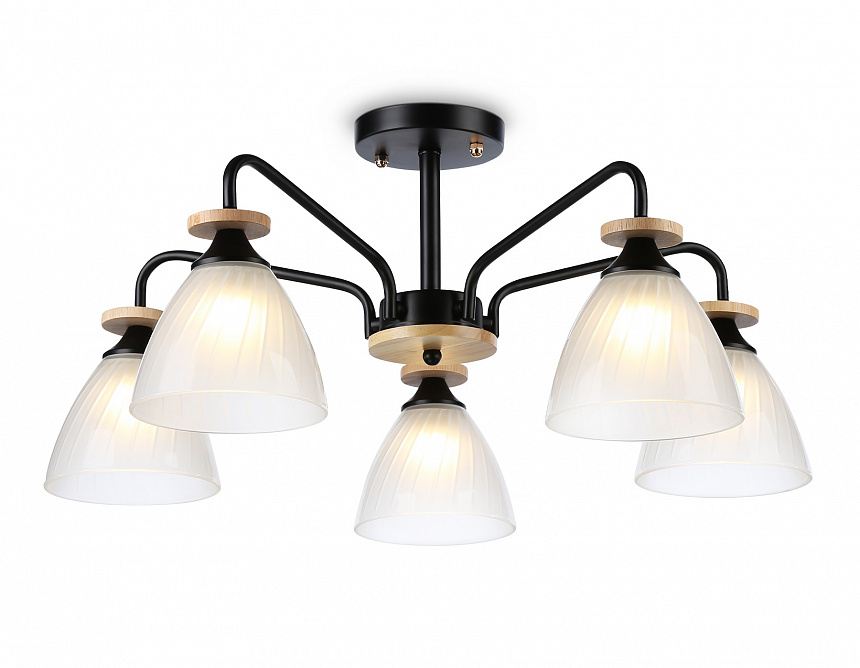 TR9571/5 BK/FR черный/белый матовый E27/5 max 40W D620*250