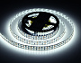 GS1703 2835 240Led/ 24W m/ 12V IP20 6500K/ 5000*14*1.2mm (2 конт.)