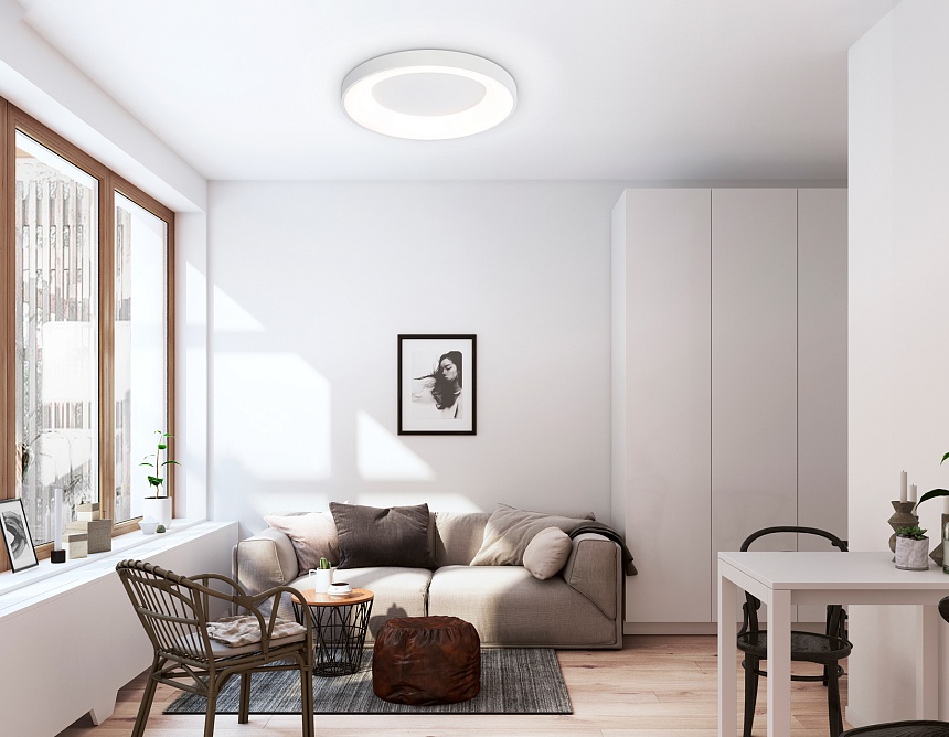 FZ1401 WH белый IP20 48W 3000K-6500K D500*50 (ПДУ ИК)