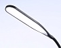 TR97706 BK черный LED 12W 3000K-6400K 250*190*1770 (ПДУ РАДИО 2.4G)