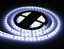 GS2103 5050 60Led/ 14.4W m/ 12V IP65 6500K/ 5000*10*2.87mm (2 конт.)