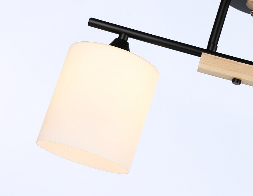 TR9543/2 BK/FR черный/белый матовый E27/2 max 40W 435*120*280