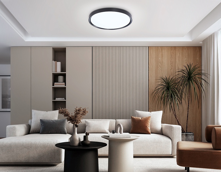 FZ1248 BK черный IP54 30W 5000K D380*60 (Без ПДУ)