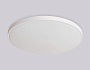 FZ1203 WH белый IP54 40.5W 5000K D450*60 (без ПДУ)
