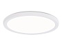 FZ1907 WH белый IP54 35W 3000K-6500K CCT-переключатель D450*25 (Без ПДУ)