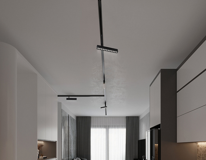 GL1342 BK черный IP20 12W 3000K-6400K 220V 24° 232*25*112 (Без ПДУ)