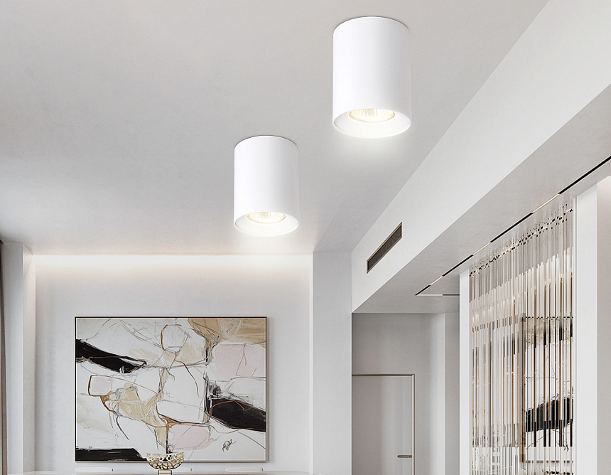 TN213136 WH белый GU10 max 12W D80*100