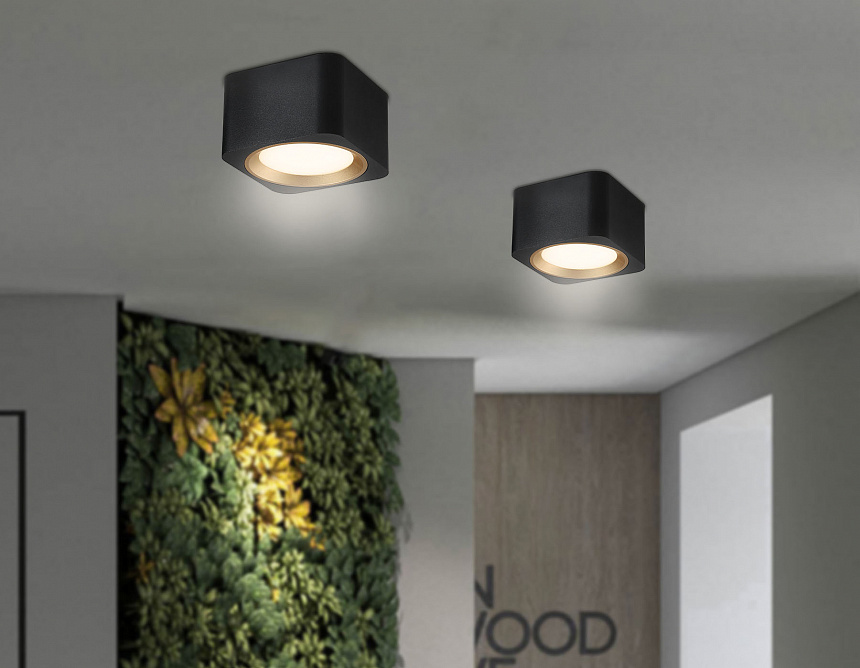 TN70832 BK/GD черный/золото GX53 max 12W 96*96*60