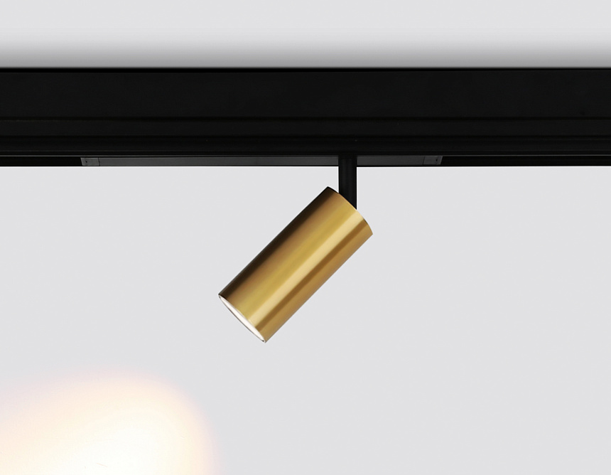 GL1213 GD золото IP20 12W 3000K-6400K 220V 36° D45*100 (Без ПДУ)